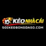 soikeobongdasocom Profile Picture