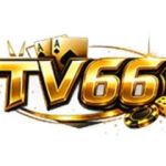 TV66 Profile Picture