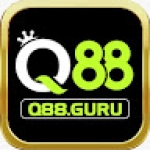 q88 guru Profile Picture