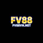 Fv88vn net Profile Picture