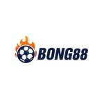 Bong88win co Profile Picture