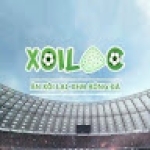 xoilactvlero Profile Picture