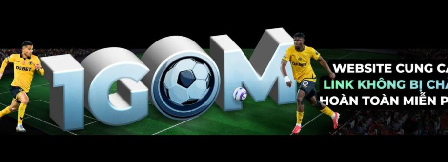 1GOM36 IO cover