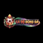 trangcado bongda Profile Picture