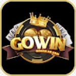 gowin Profile Picture