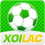 Xoilactv dev Profile Picture
