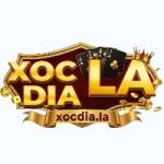 Xocdia La profile picture