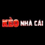 tyle keonhacai Profile Picture