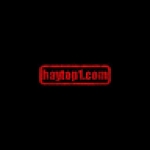 Haytop1 Stgugdgi