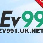 ev991 uknet