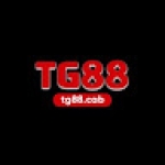 TG88 Profile Picture