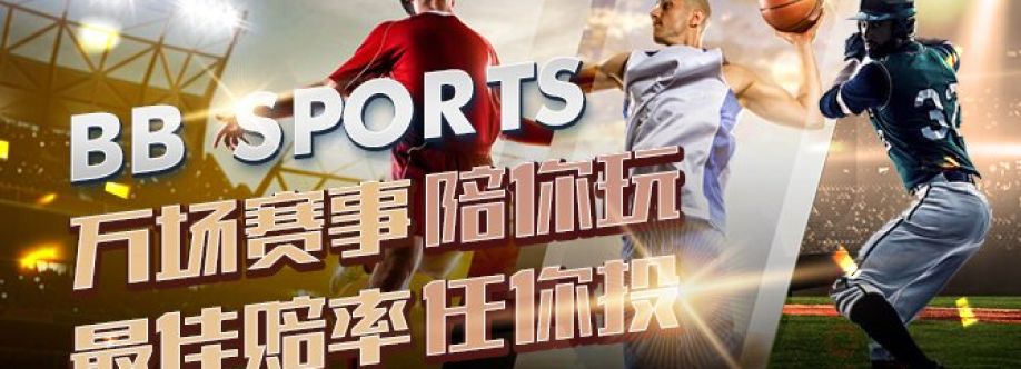 Bbfootball net cover