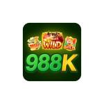 988k br com profile picture