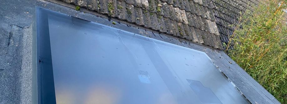 Rooflights and Skylights UK cover