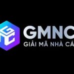 Gmnc run