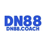 dn88coach amogola