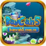 Bancah5 comco