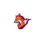 Quangcaox vn profile picture