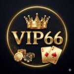 nhà cái vip66