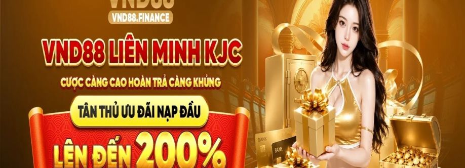 VND88 Finance cover