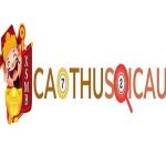 Cao Thu Soi Cau Profile Picture