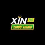 Xin88 studio