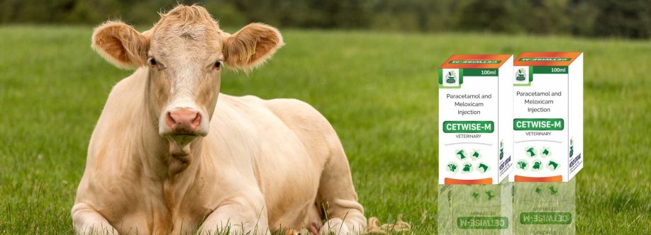 vetset lifecare cover