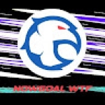 nowgoal wtf Profile Picture