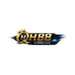 Qh88pl com