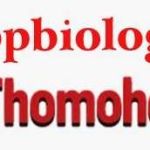 thomohomnay thomohomnay Profile Picture