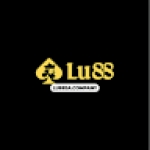 LU88 SACOMPANY