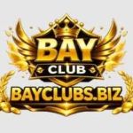 Bayclub biz