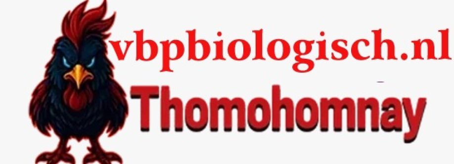 thomohomnay thomohomnay cover