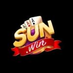 SUNWIN VNIC