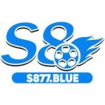 S8 Profile Picture