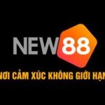 NEW88