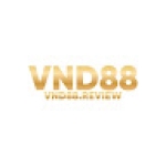 Vnd88 review