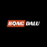 Bongda lu