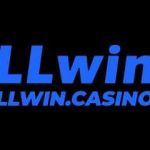 LLwin Profile Picture
