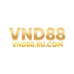 VND88