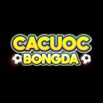 Cá Cược Bóng Đá
