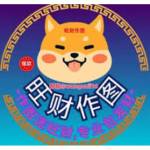 wangcaizuotu profile picture