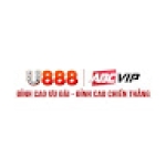 U888 Foundation