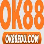 OK88 edu profile picture