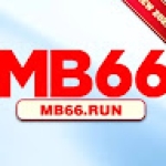 mb66 run Profile Picture