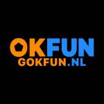 OKFUN Profile Picture