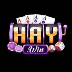 HAYWIN