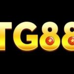 tg88sarl Burn