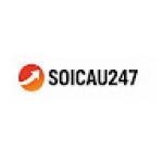 vnsoicau247com 247 Profile Picture