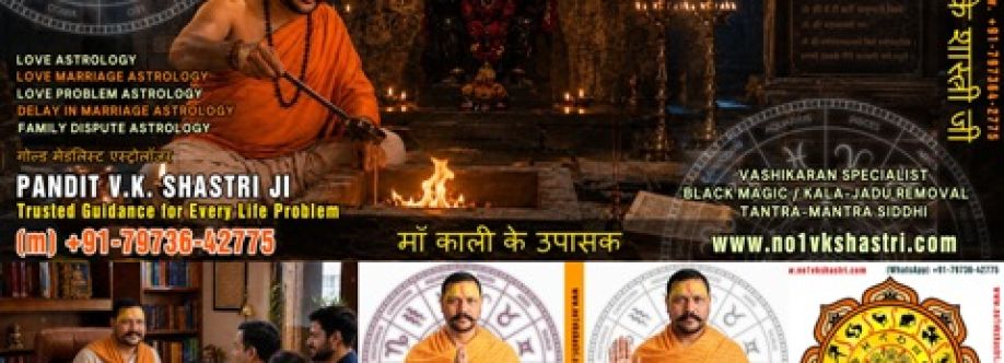 Pandit VK Shastri cover